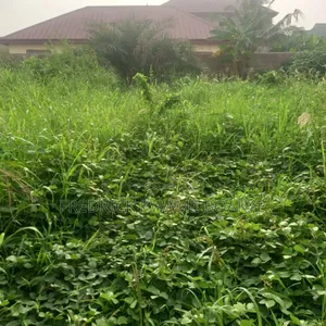 2 Plots of Land for Sale at Ipt Nyankyereniase