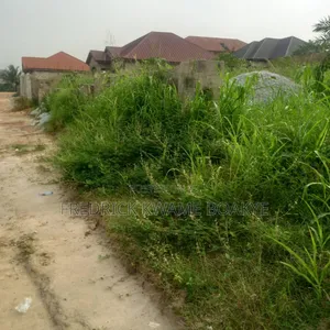 2 Plots of Land for Sale at Ipt Nyankyereniase