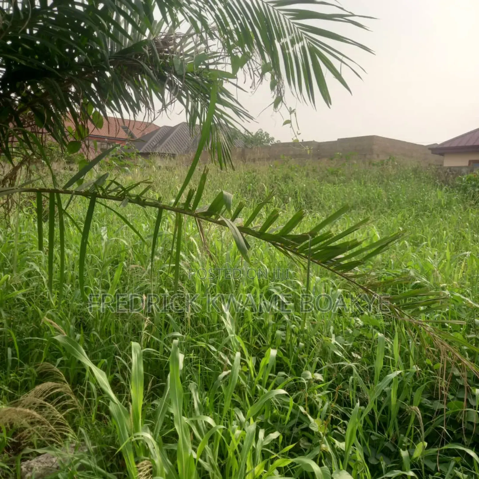 2 Plots of Land for Sale at Ipt Nyankyereniase