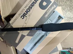 Panasonic Boom Mic