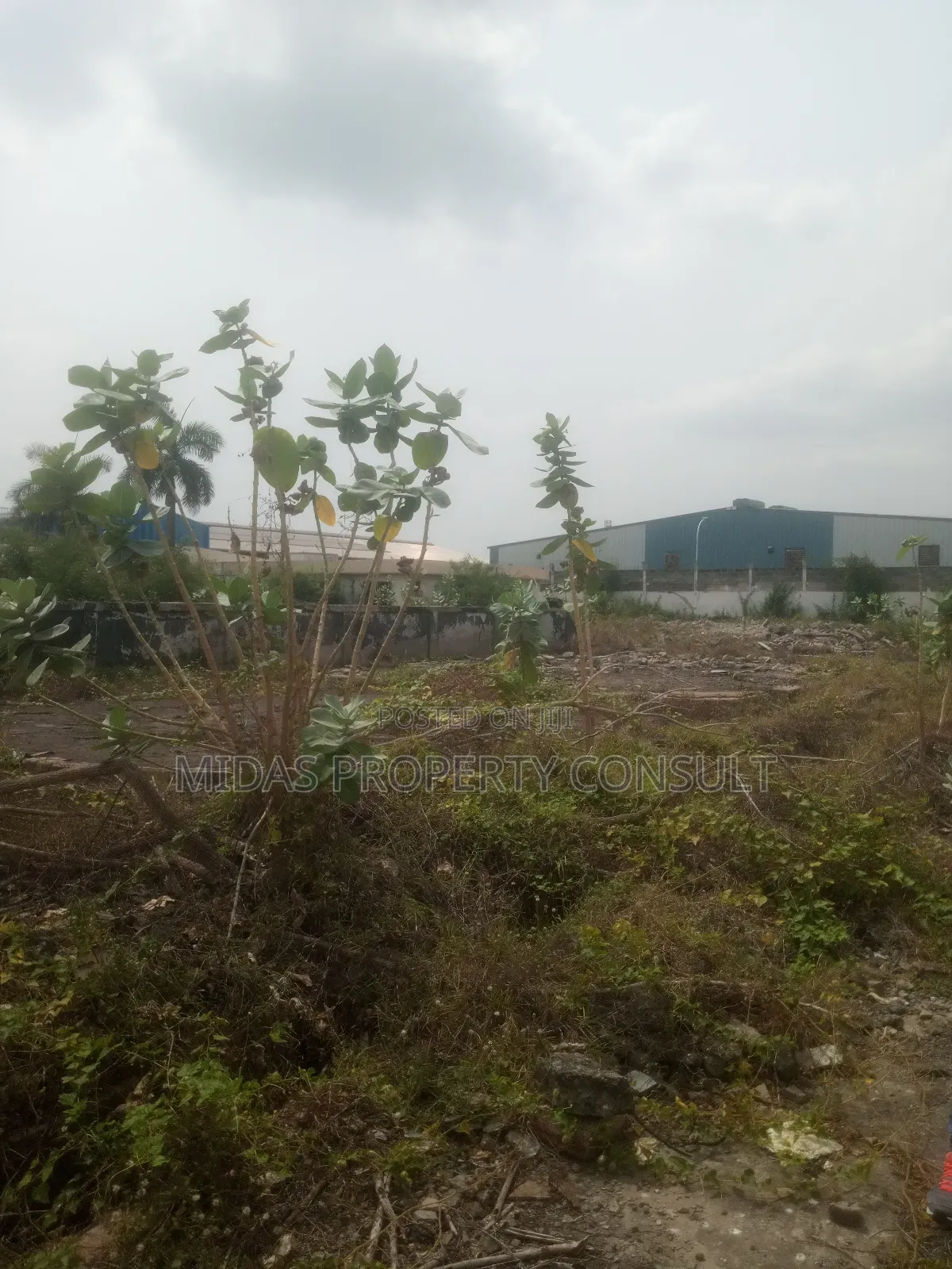 1400 SQM Warehouse With Office to Let at Tamale Sanzirugu Salaga Road