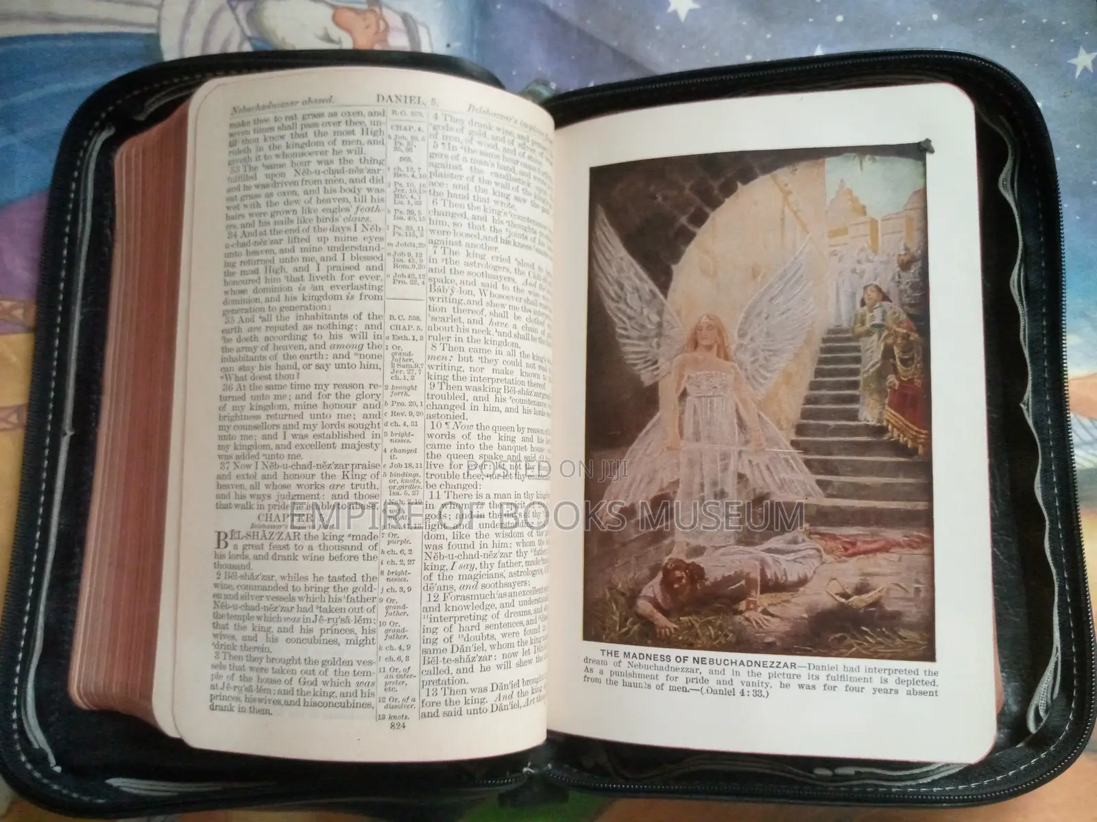 Vintage 1915 Holy Bible Illustrated Leather. The John C. Winston Co