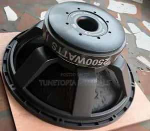 GLS Music/Titanic Usa 2500watt Pair of 18inches Naked Speakers