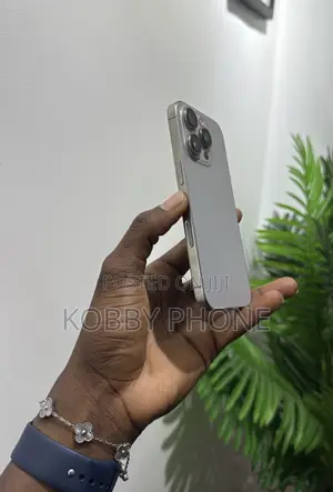 Apple iPhone 15 Pro Max 256 GB Silver