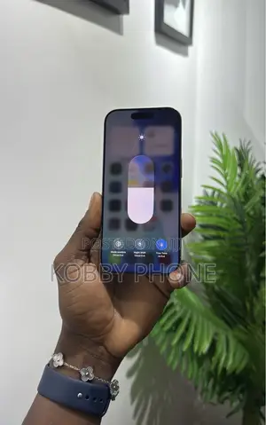 Apple iPhone 15 Pro Max 256 GB Silver