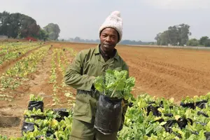 Poultry(Agricultural) Sales Manager/Farm Advisor