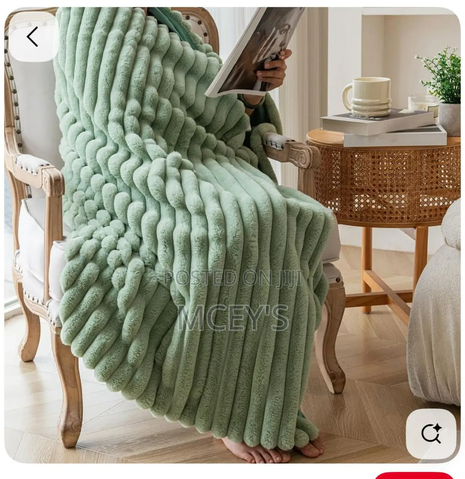 Throw Blanket Fluffy With Pillowcases