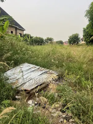 2 Plots of Land for Sale