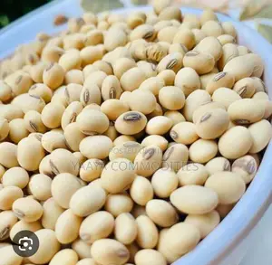 Soya Beans ( 100kg - Organic)