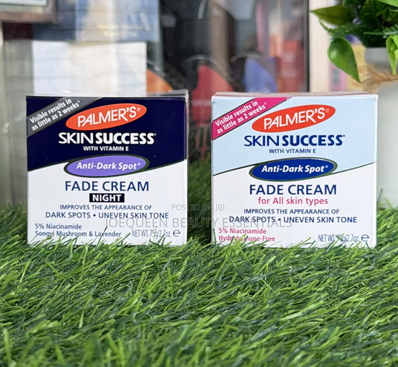 Skin Success Day And Night Fade Cream