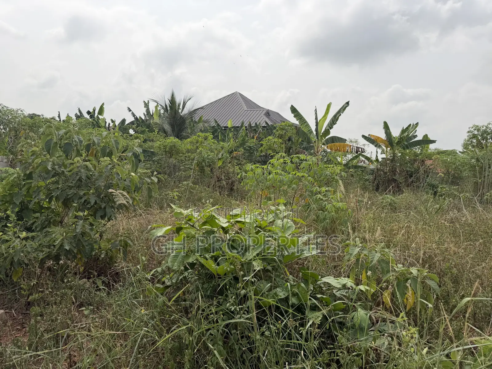 Two Plots for Sale Sokoban Aboabo.