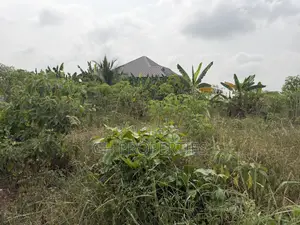 Two Plots for Sale Sokoban Aboabo.