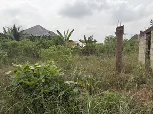 Two Plots for Sale Sokoban Aboabo.