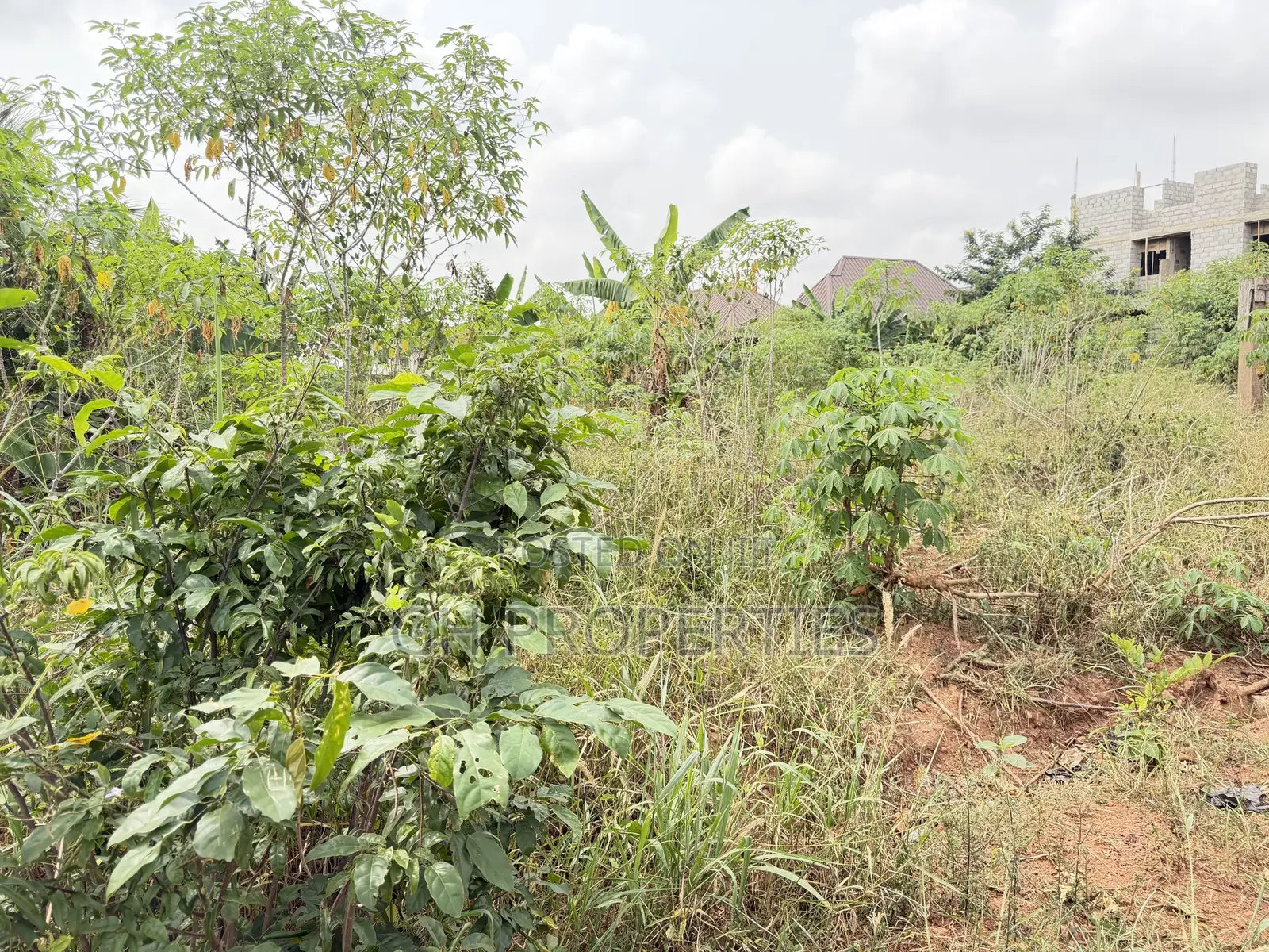 Two Plots for Sale Sokoban Aboabo.