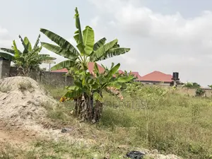 One Full Plot for Sale at Sokoban Ampaame.