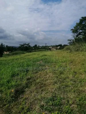 5000 Acres Of Farmland For Sale At Ekumfi