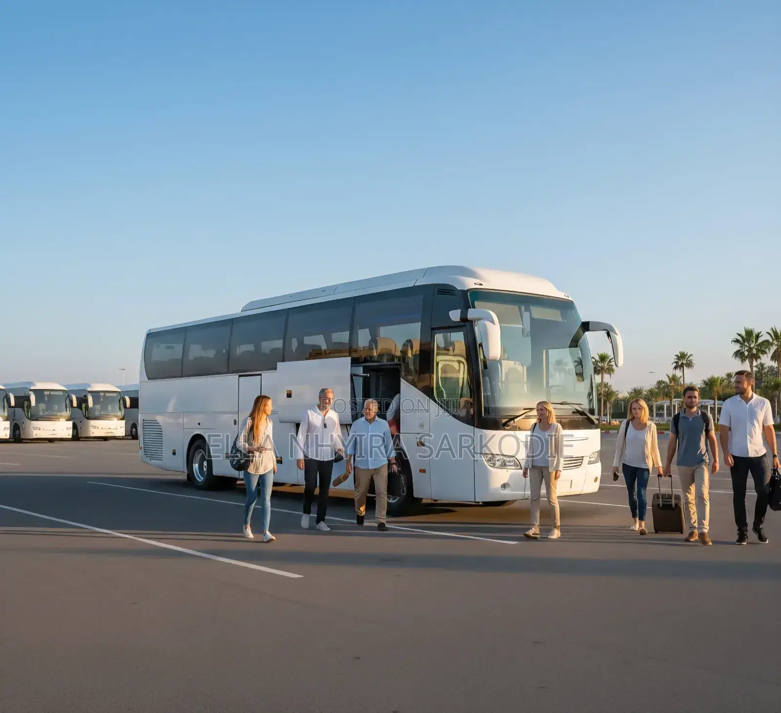 Coaches Executive Bus for Tour Services