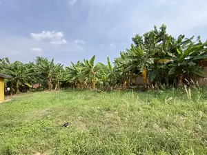Registered Plot of Land 100x70 at Ofankor Seven Days