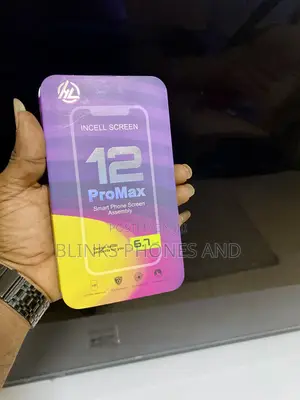 iPhone 12 Pro Max Screen
