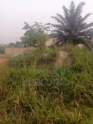 Half Plot of Land Good Location