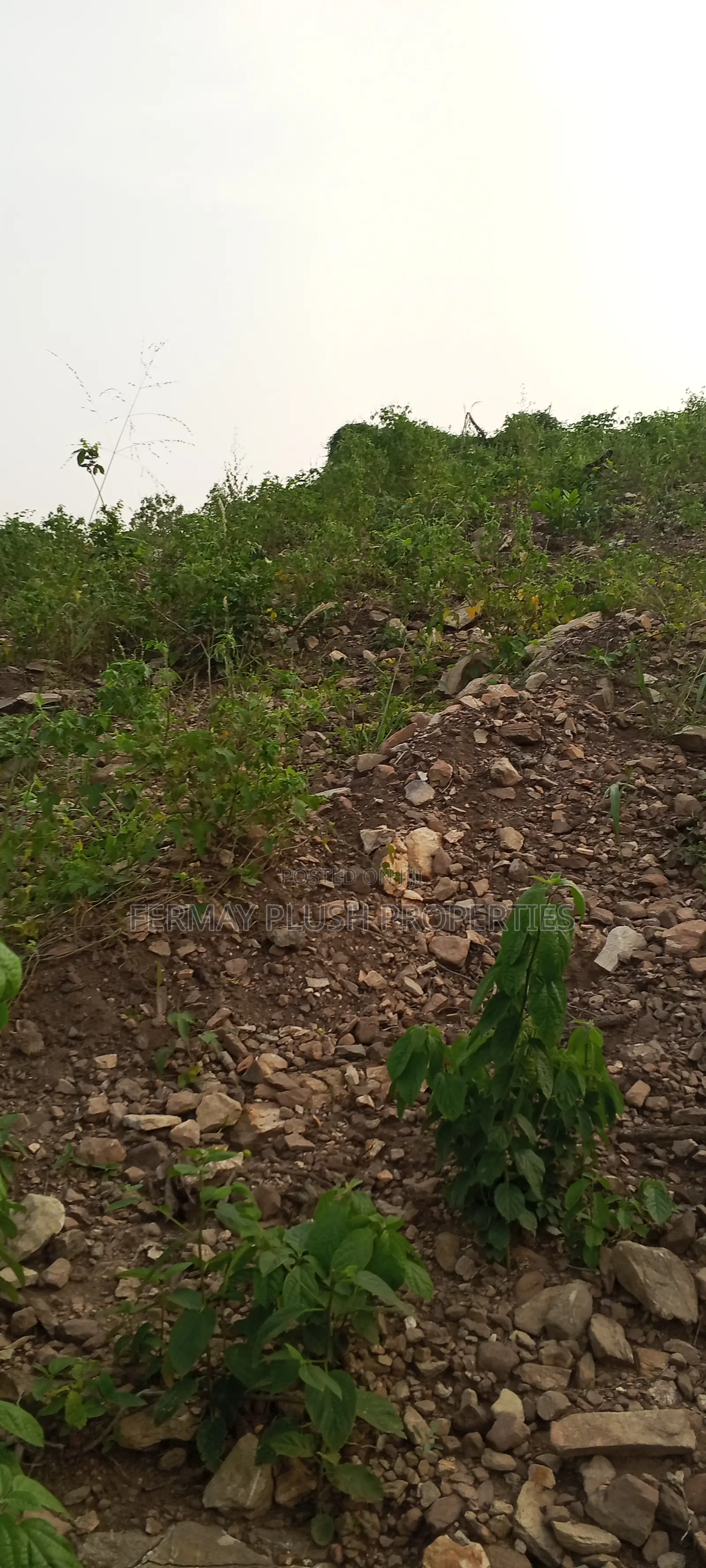 Land Title Land for Sale at Oyarifa