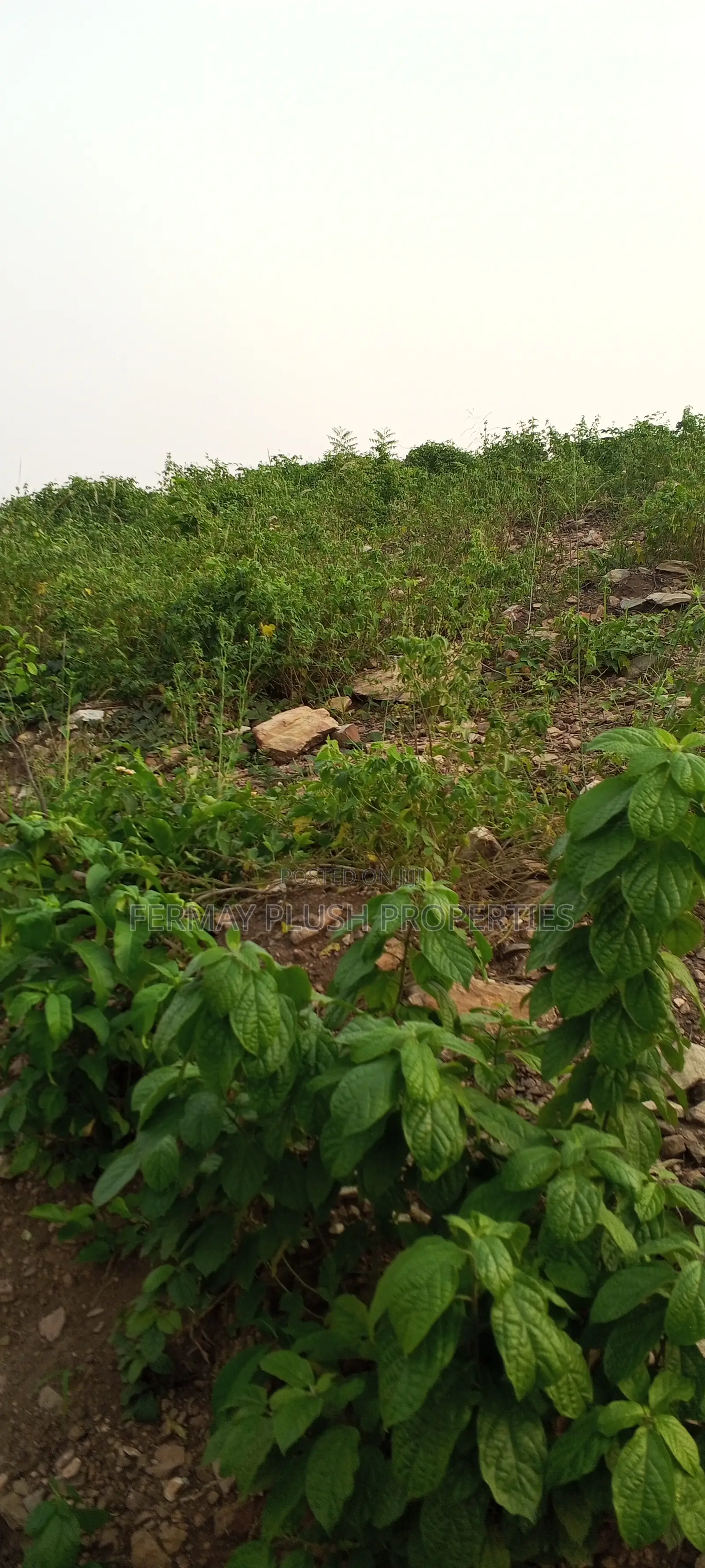 Secured Title Land for Sale