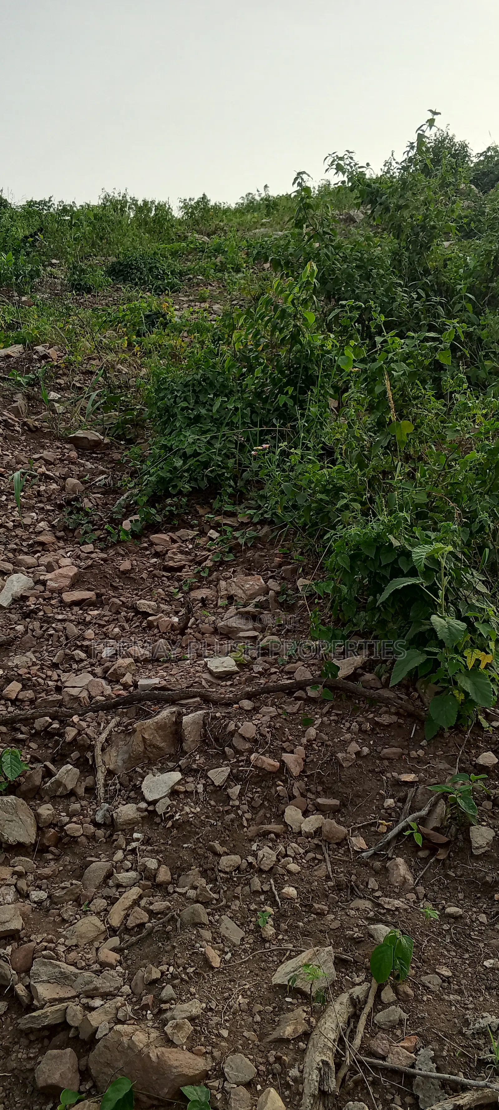 Oyarifa Land Title Property for Sale