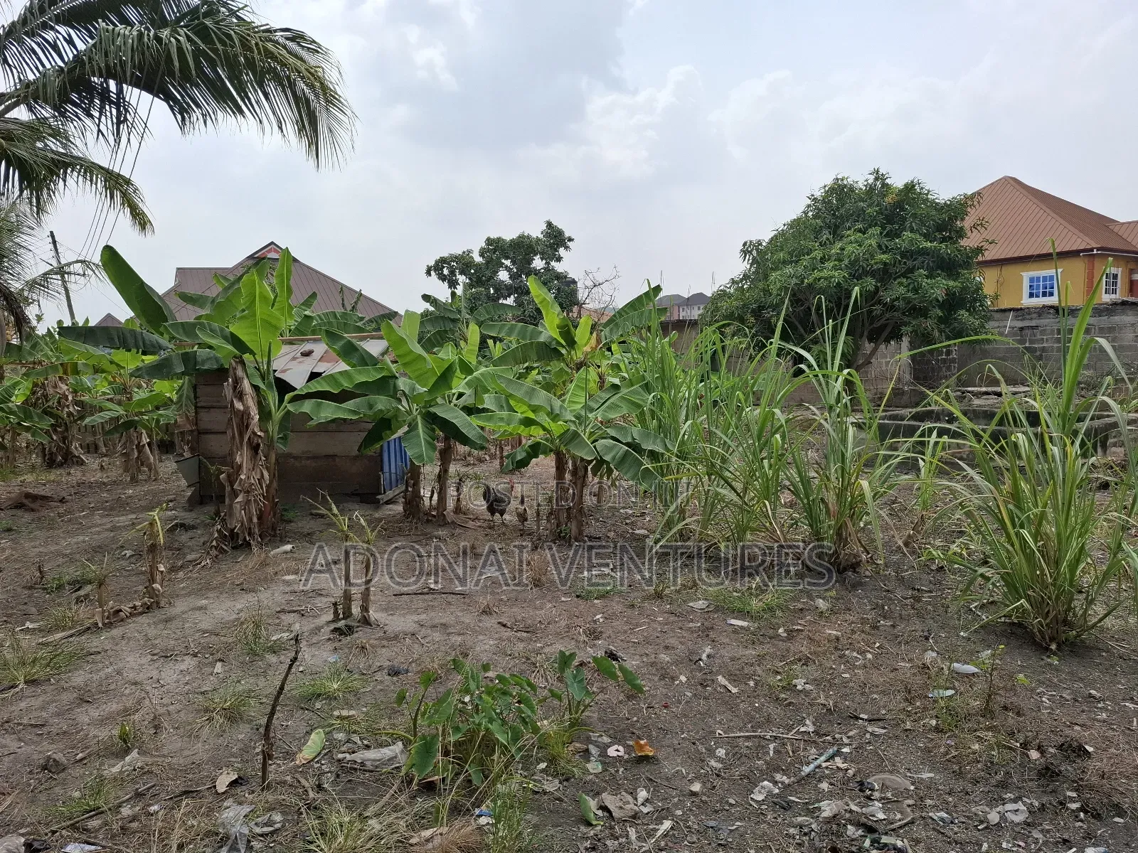 Full Plot for Sale in Ahodwo Daban