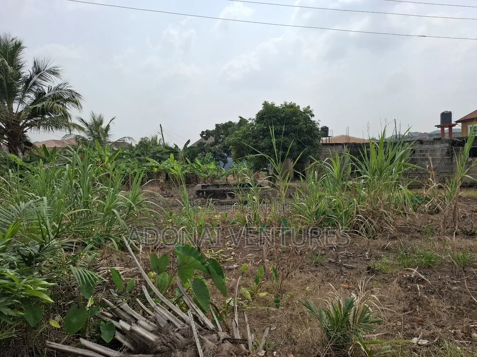 Full Plot for Sale in Ahodwo Daban