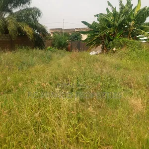 2 Plots of Land for Sale at East Airport