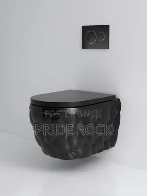 Quality Concealed, Wall Hang Black Wc With Tank