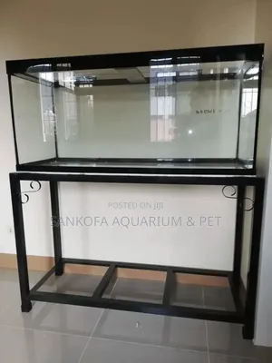 Point Kill Empty Fish Tank