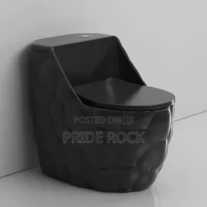 Black Egg Shape Wc