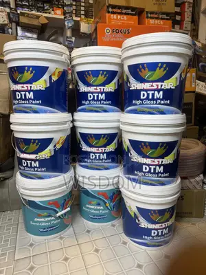 Shinestar DTM (High Gloss Paint