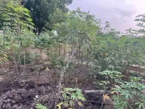 Half Plot of Land for Sale at Ablekuma
