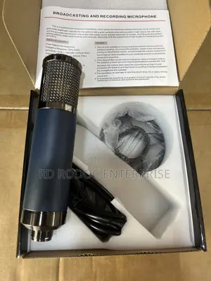 Studio Microphone Heavy