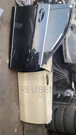 Mercedes Benz Doors