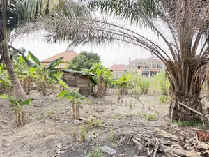 One Plot for Sale at Daban.