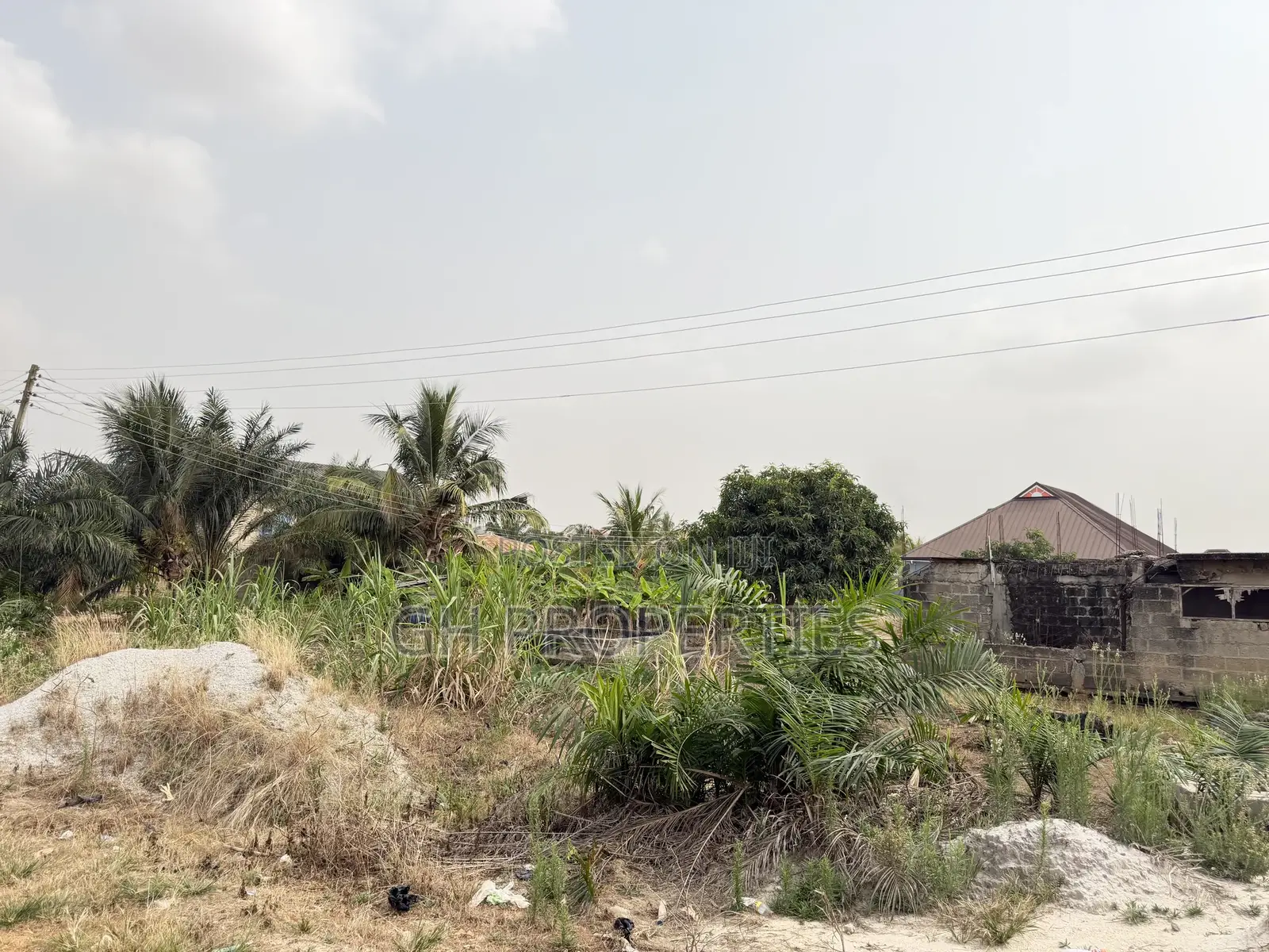 One Plot for Sale at Daban.