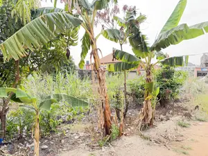 One Plot for Sale at Daban.