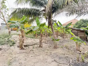 One Plot for Sale at Daban.