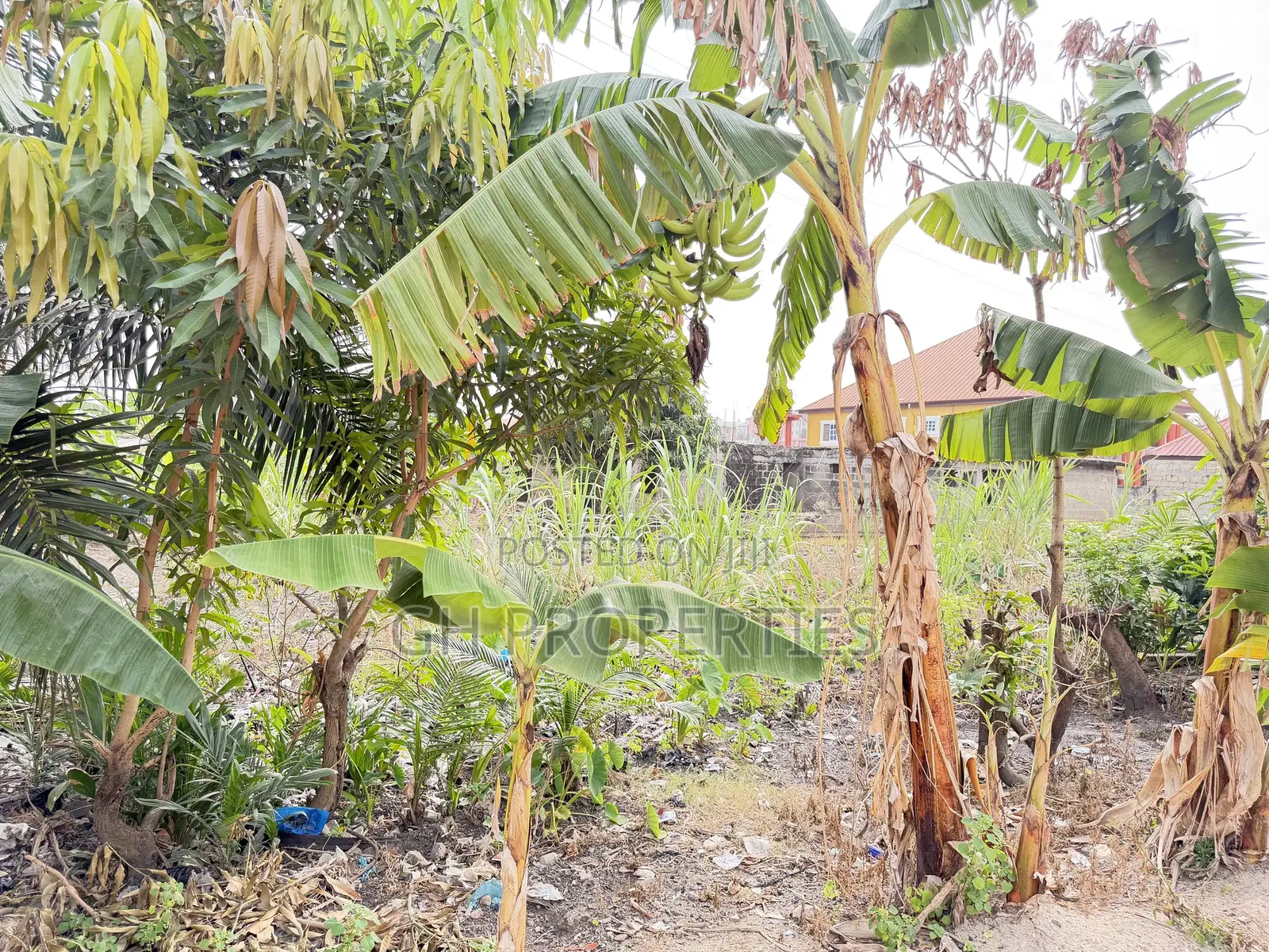 One Plot for Sale at Daban.