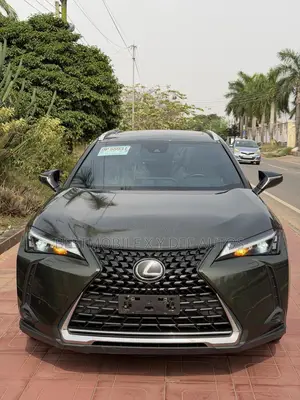 Lexus UX 250h Premium AWD 2024 Green