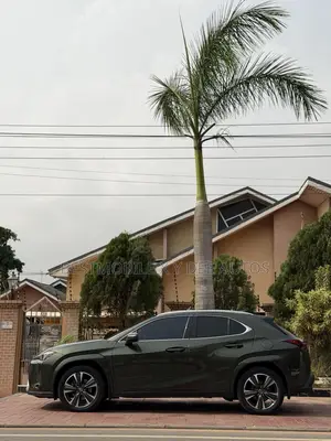 Lexus UX 250h Premium AWD 2024 Green