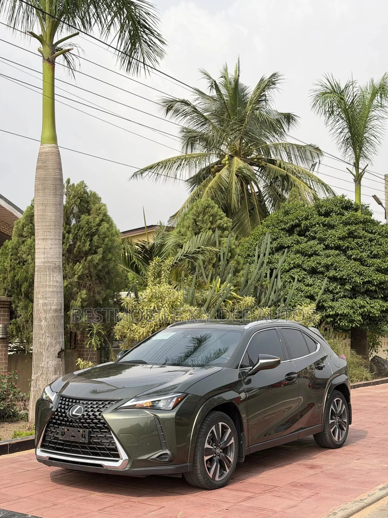 Lexus UX 250h Premium AWD 2024 Green