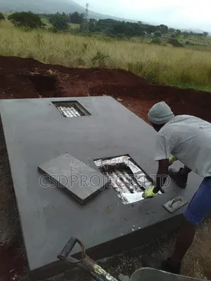 Professional Mason Work
