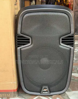 Jac-12 12inches Portable Bluetooth Pa Speaker With 2microphone