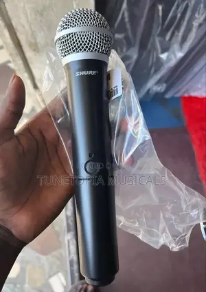 Shure Blx288/Pg58 Dual Vocal Wireless Microphone