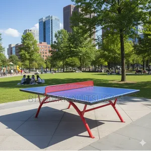Outdoor Table Tennis for Sale