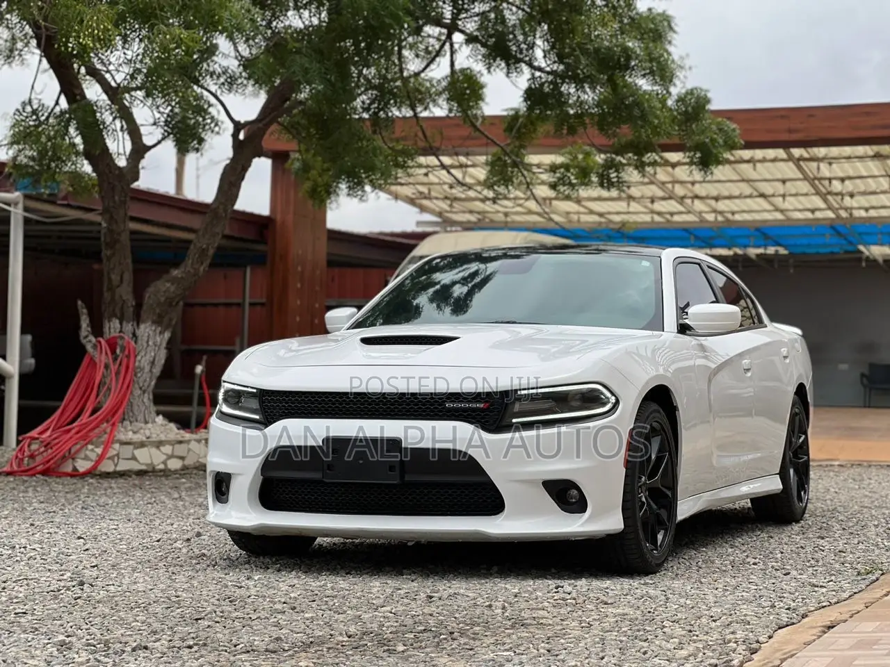 Dodge Charger 2021 White